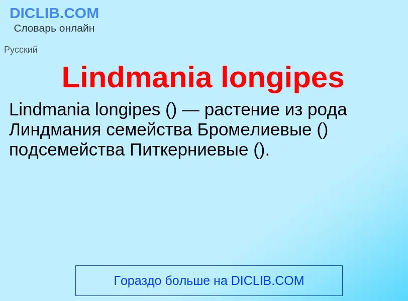 ¿Qué es Lindmania longipes? - significado y definición