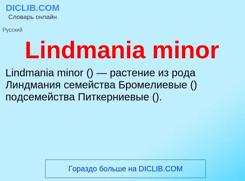 ¿Qué es Lindmania minor? - significado y definición