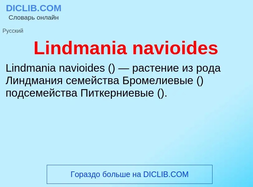 ¿Qué es Lindmania navioides? - significado y definición