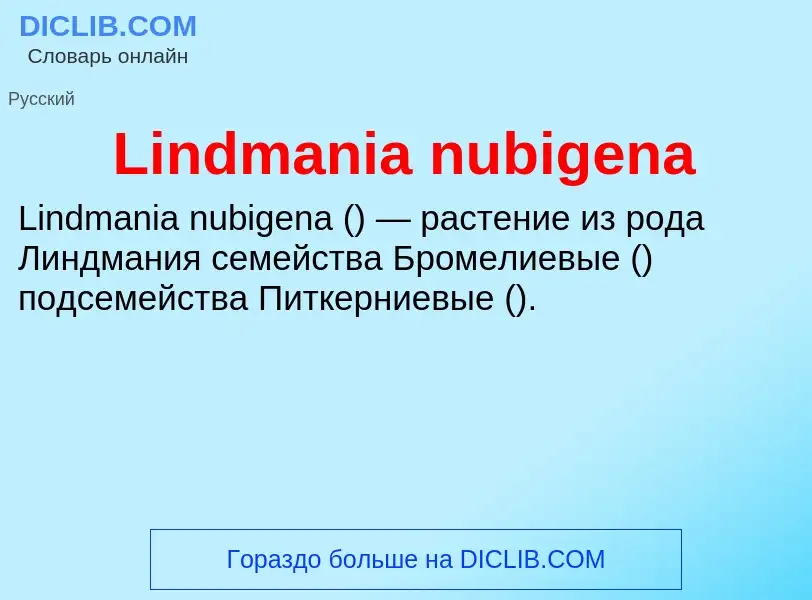 ¿Qué es Lindmania nubigena? - significado y definición