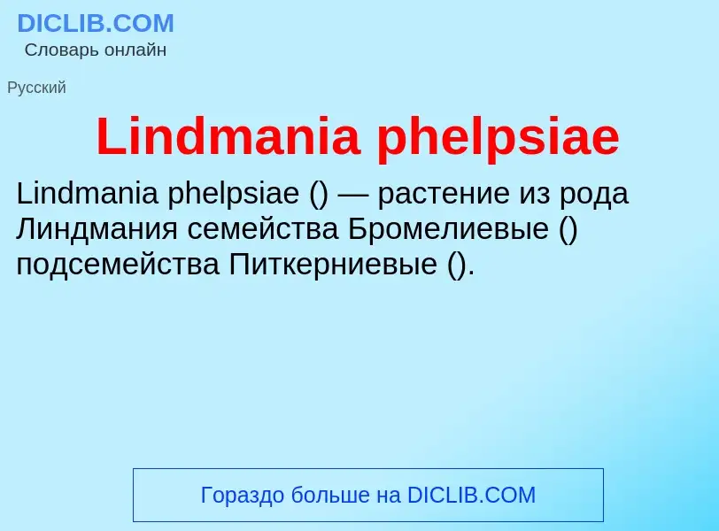 ¿Qué es Lindmania phelpsiae? - significado y definición