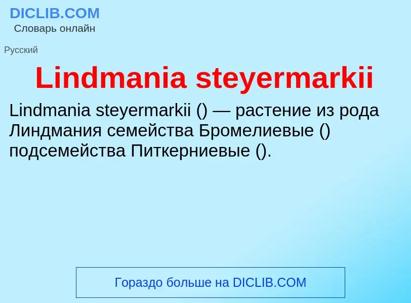 ¿Qué es Lindmania steyermarkii? - significado y definición