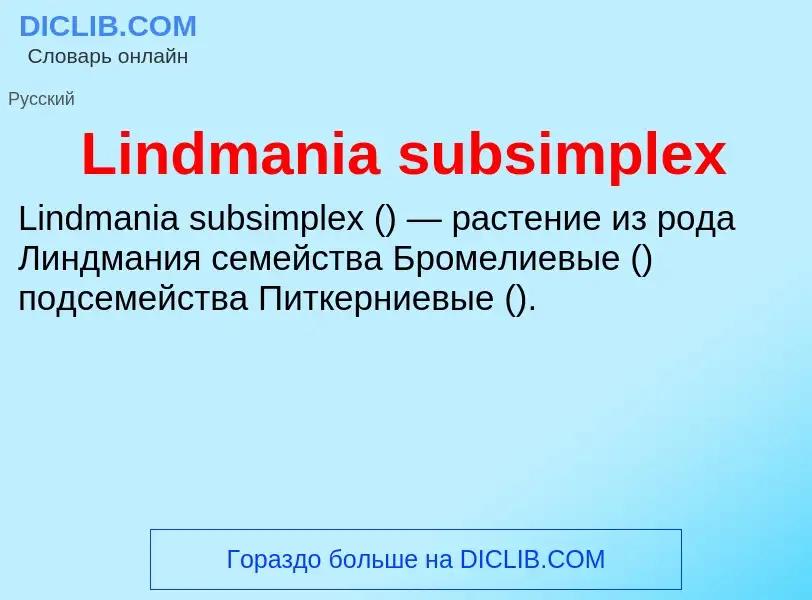 Was ist Lindmania subsimplex - Definition