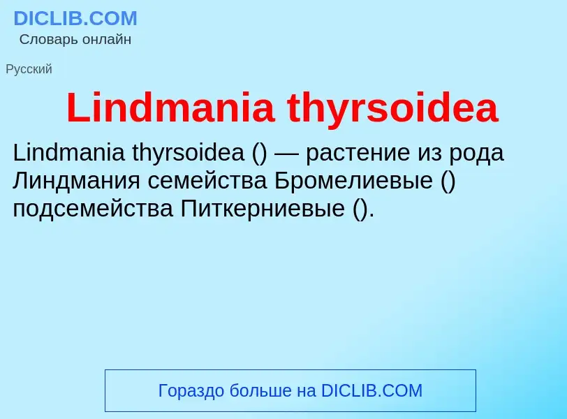 ¿Qué es Lindmania thyrsoidea? - significado y definición