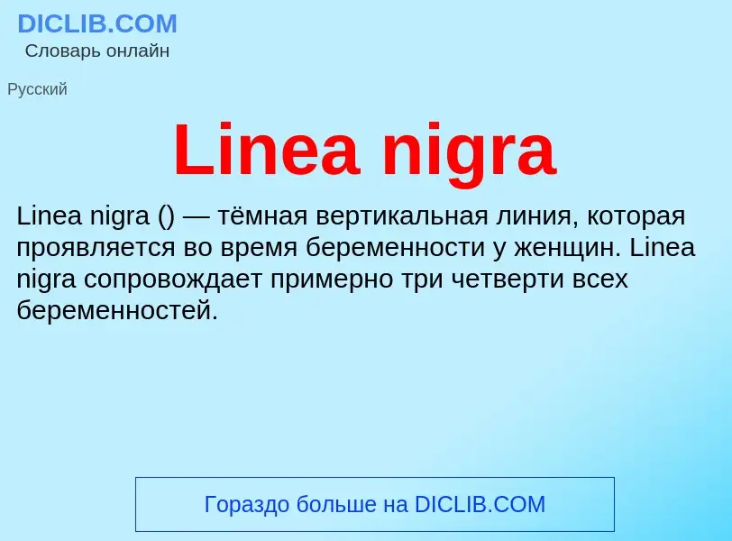 ¿Qué es Linea nigra? - significado y definición