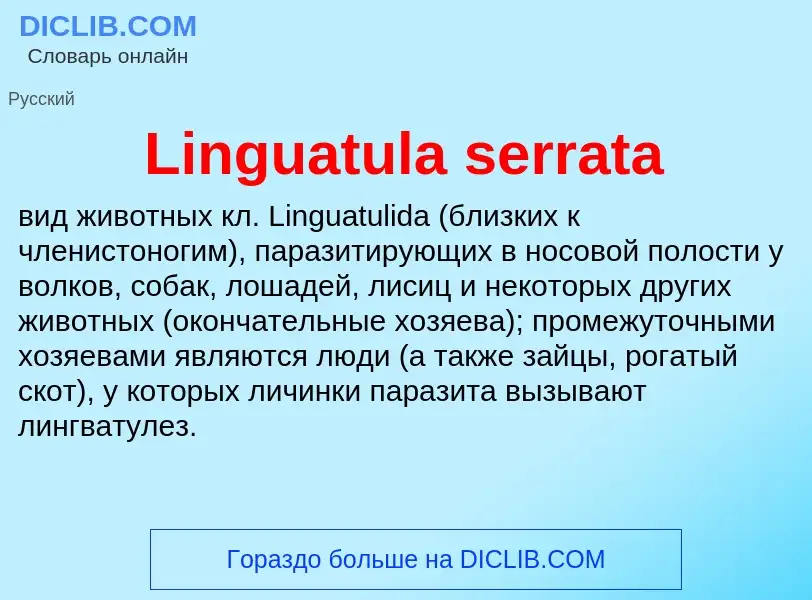 ¿Qué es Linguatula serrata? - significado y definición