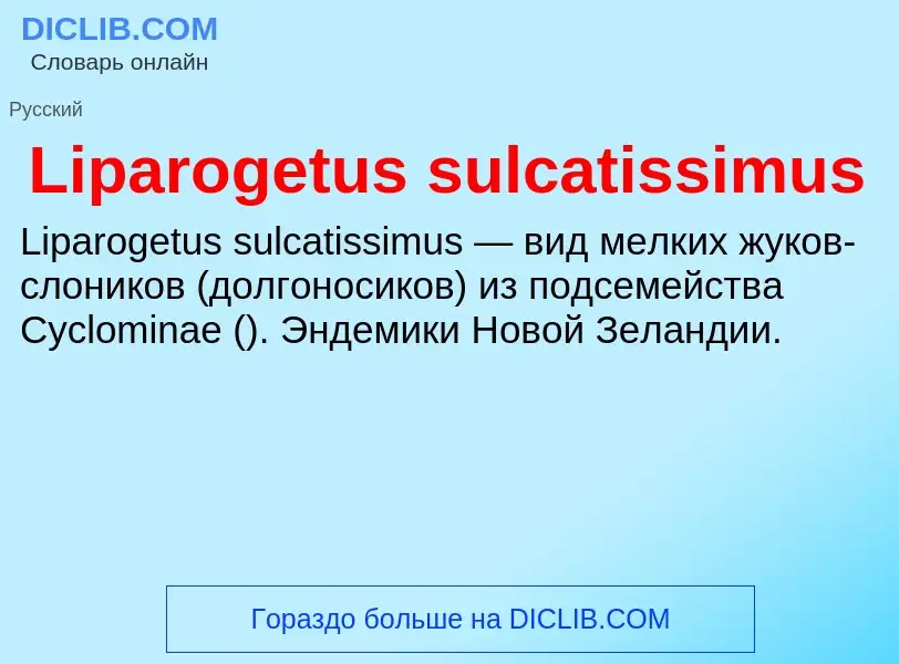 Was ist Liparogetus sulcatissimus - Definition