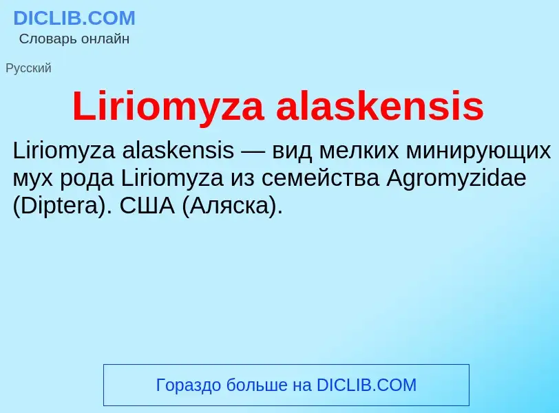 Was ist Liriomyza alaskensis - Definition