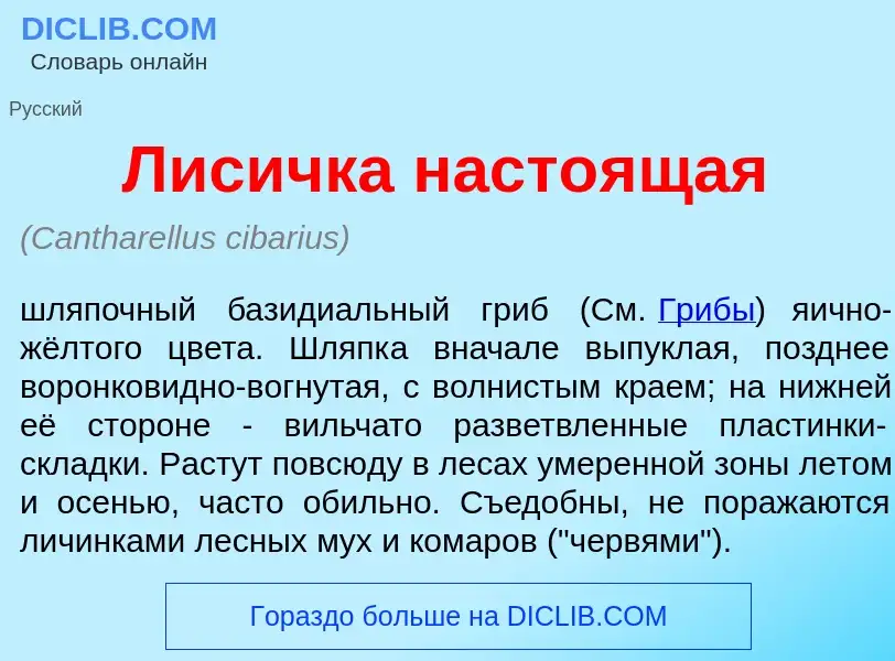 What is Лис<font color="red">и</font>чка насто<font color="red">я</font>щая - meaning and definition
