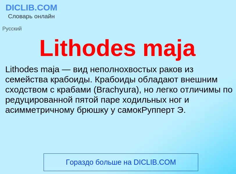 ¿Qué es Lithodes maja? - significado y definición