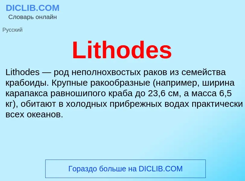 Τι είναι Lithodes - ορισμός