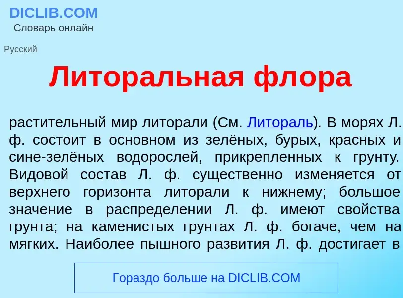 Что такое Литор<font color="red">а</font>льная фл<font color="red">о</font>ра - определение