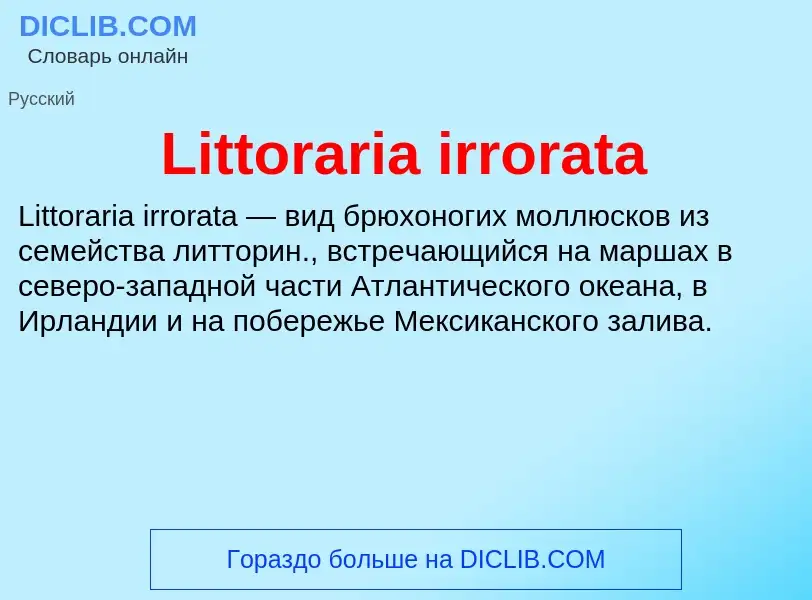 Τι είναι Littoraria irrorata - ορισμός