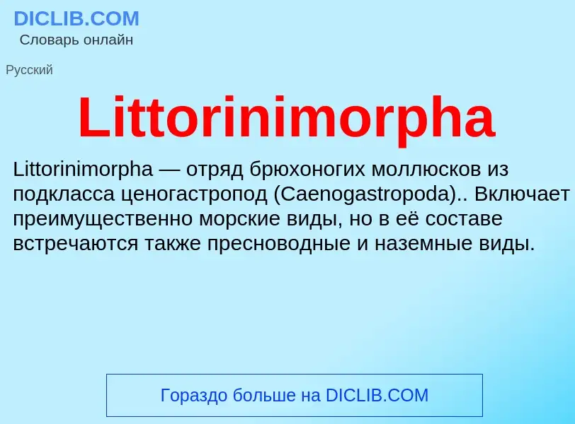 Τι είναι Littorinimorpha - ορισμός