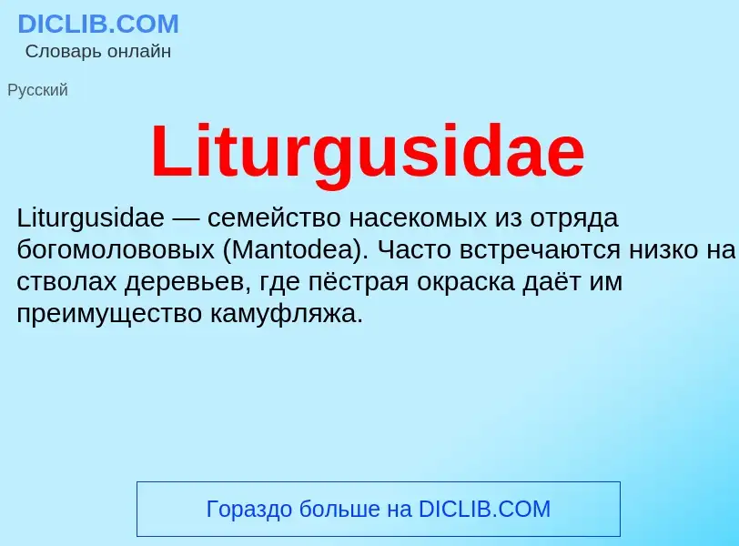 ¿Qué es Liturgusidae? - significado y definición