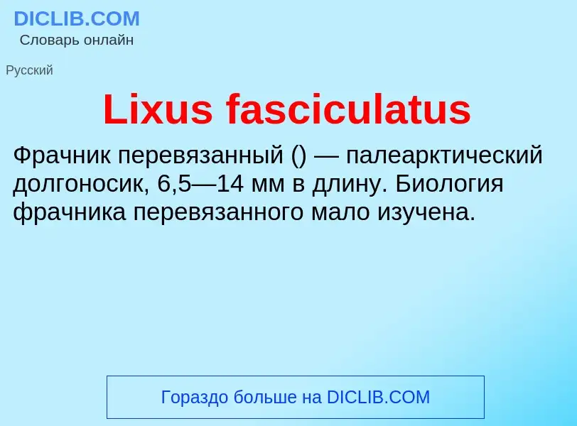 ¿Qué es Lixus fasciculatus? - significado y definición