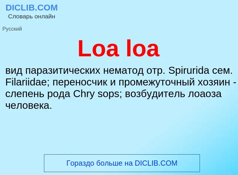 ¿Qué es Loa loa? - significado y definición