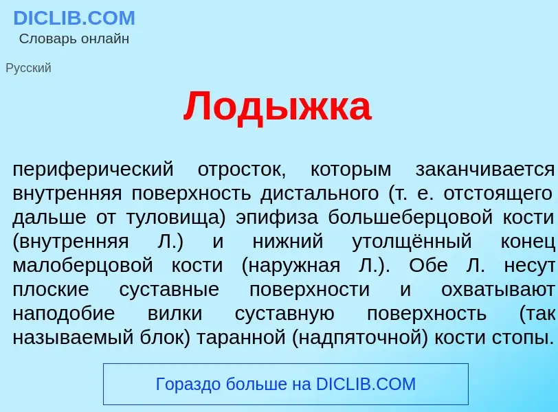 Что такое Лод<font color="red">ы</font>жка - определение