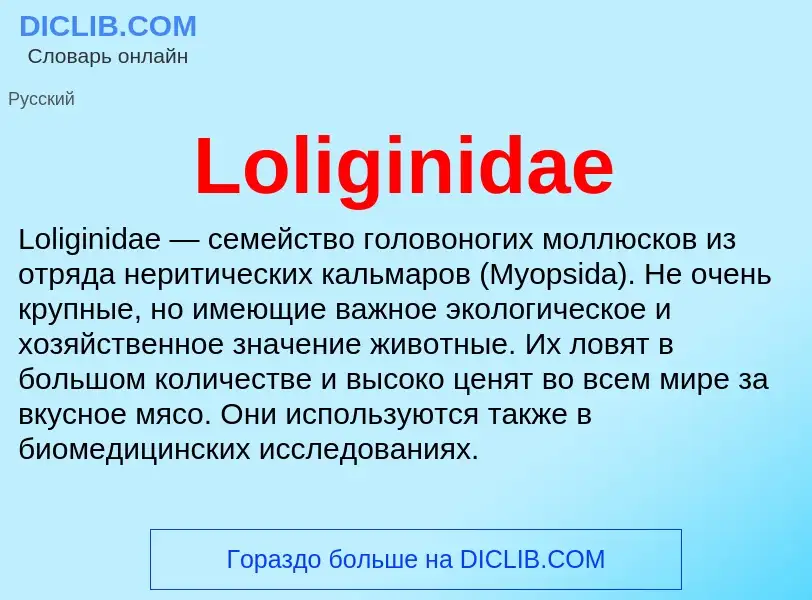 Τι είναι Loliginidae - ορισμός