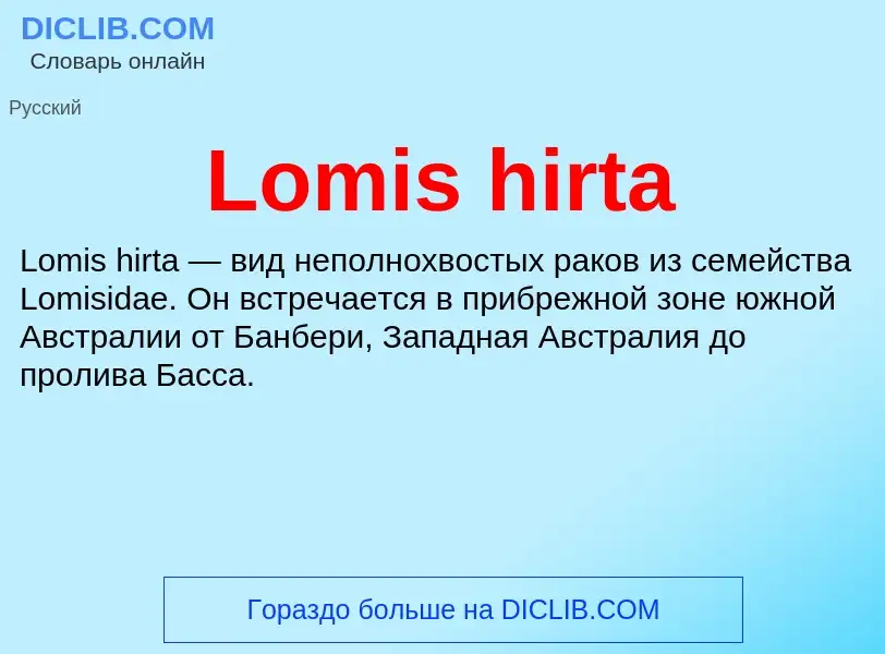 ¿Qué es Lomis hirta? - significado y definición