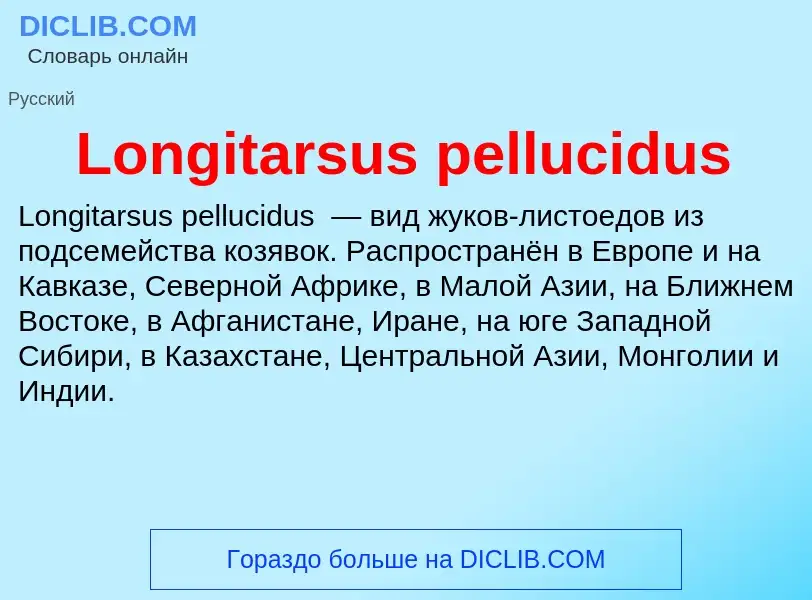 ¿Qué es Longitarsus pellucidus? - significado y definición