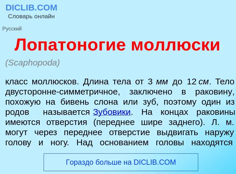 Что такое Лопатон<font color="red">о</font>гие молл<font color="red">ю</font>ски - определение