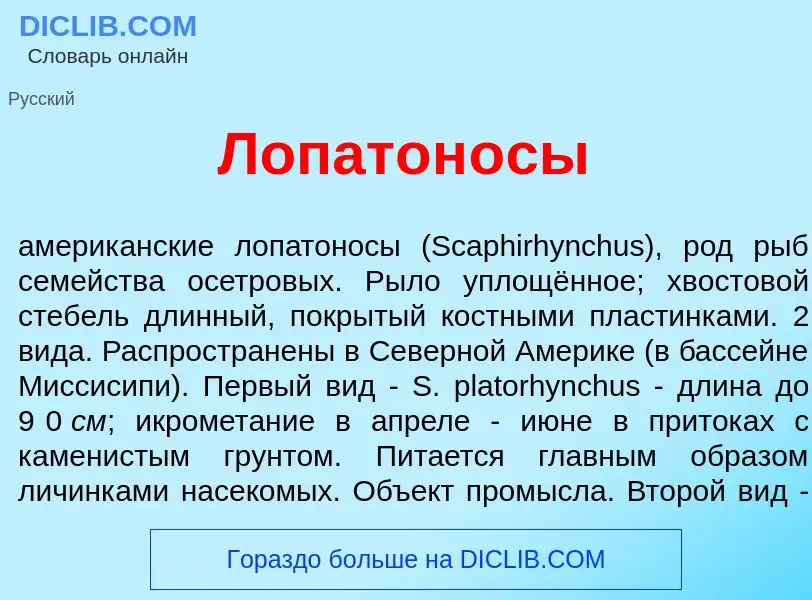 Что такое Лопатон<font color="red">о</font>сы - определение