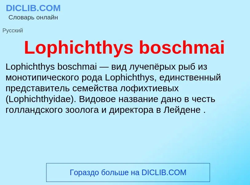 Τι είναι Lophichthys boschmai - ορισμός