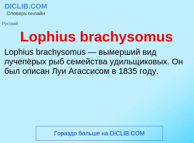 What is Lophius brachysomus - meaning and definition