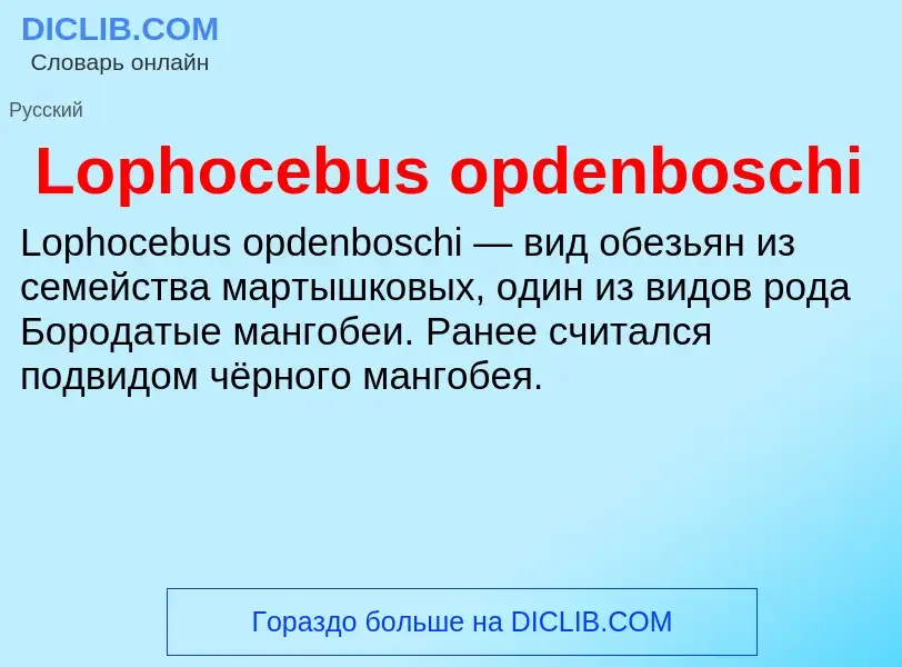 ¿Qué es Lophocebus opdenboschi? - significado y definición