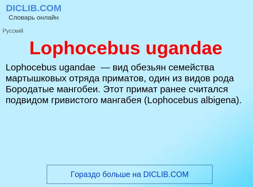 Τι είναι Lophocebus ugandae - ορισμός