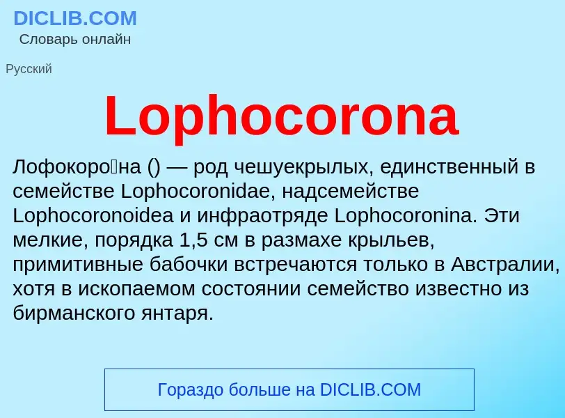 ¿Qué es Lophocorona? - significado y definición