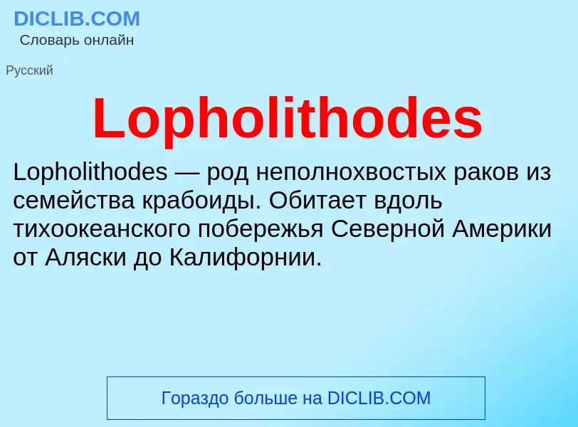 ¿Qué es Lopholithodes? - significado y definición