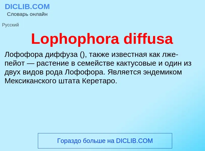 Τι είναι Lophophora diffusa - ορισμός