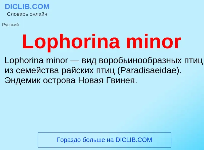 ¿Qué es Lophorina minor? - significado y definición