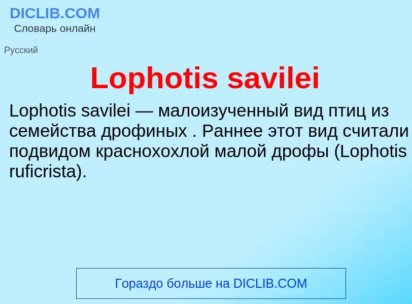 Was ist Lophotis savilei - Definition