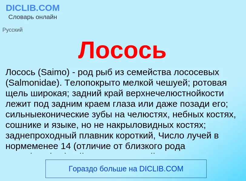 Что такое Лосось - определение