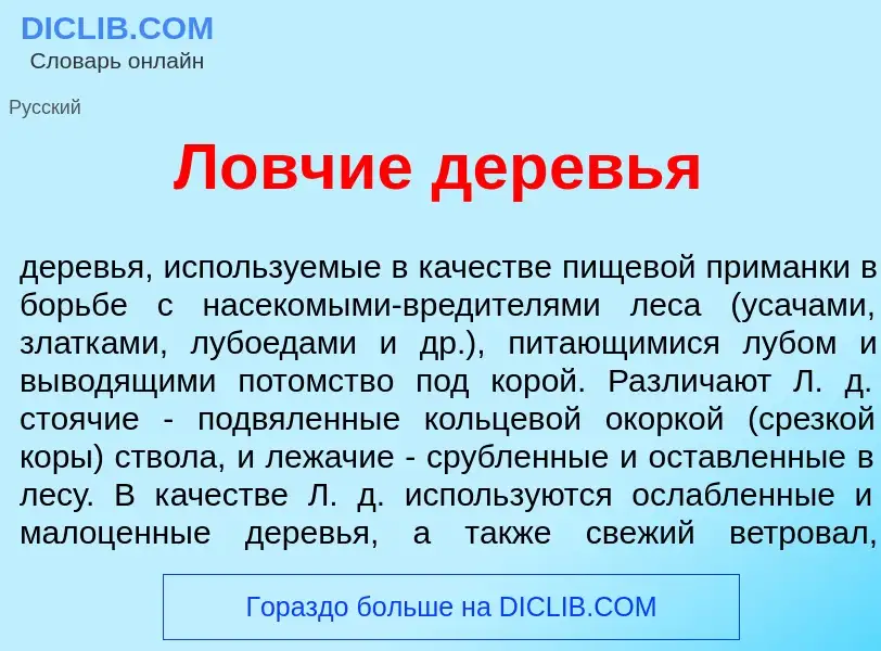 Что такое Л<font color="red">о</font>вчие дер<font color="red">е</font>вья - определение