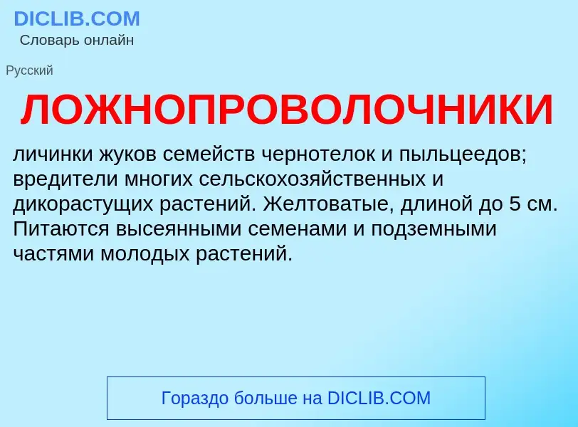 ¿Qué es ЛОЖНОПРОВОЛОЧНИКИ? - significado y definición