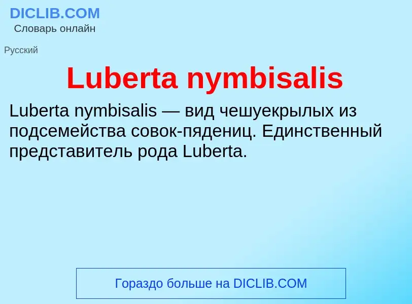 Что такое Luberta nymbisalis - определение