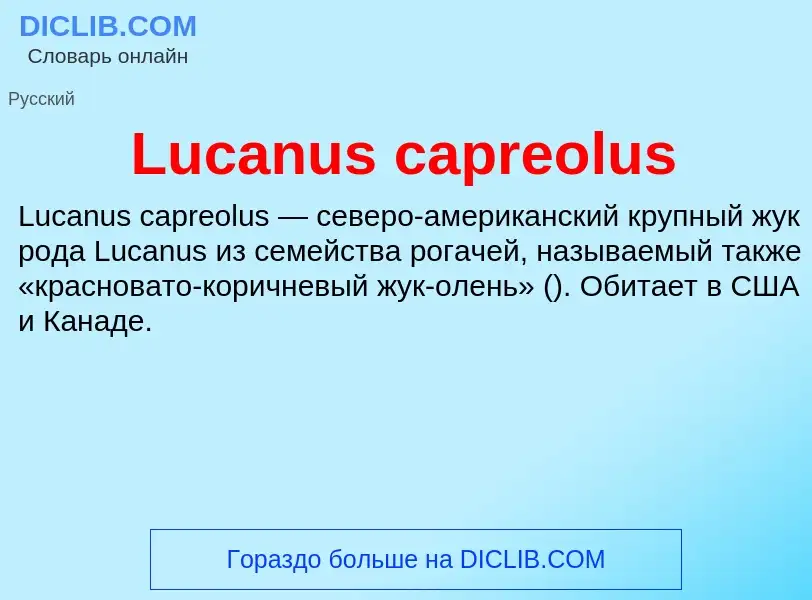 Что такое Lucanus capreolus - определение