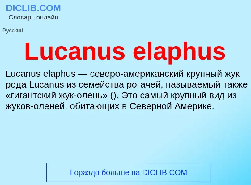 ¿Qué es Lucanus elaphus? - significado y definición