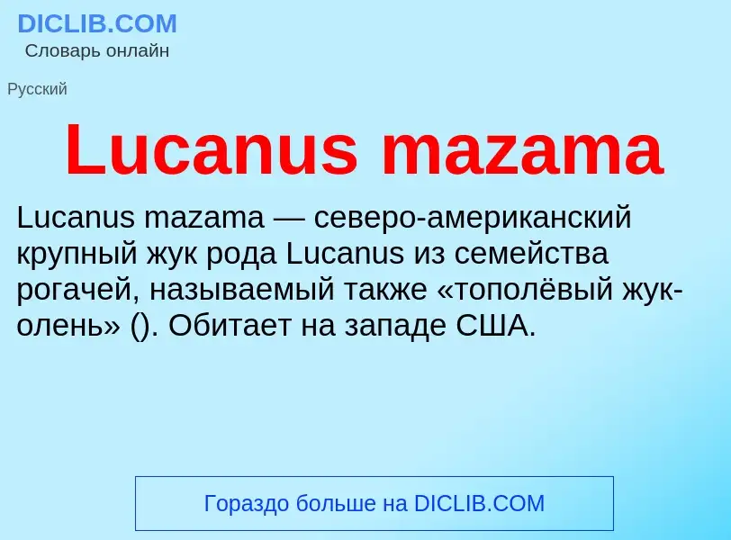 Что такое Lucanus mazama - определение