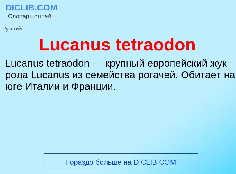 ¿Qué es Lucanus tetraodon? - significado y definición