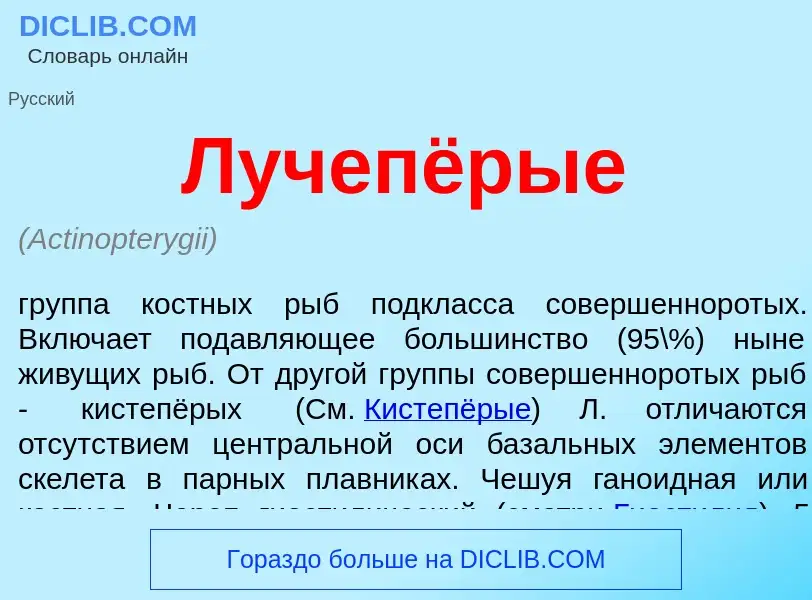 Was ist Лучепёрые - Definition