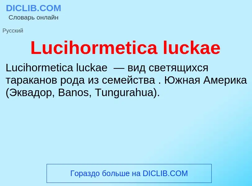 Что такое Lucihormetica luckae - определение