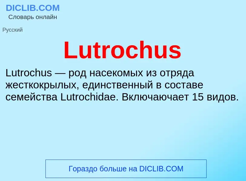 ¿Qué es Lutrochus? - significado y definición