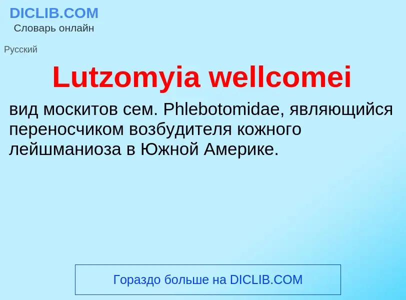 Τι είναι Lutzomyia wellcomei - ορισμός