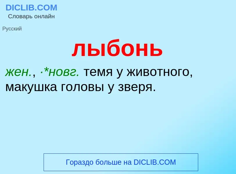 Что такое лыбонь - определение