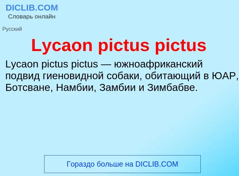 Τι είναι Lycaon pictus pictus - ορισμός